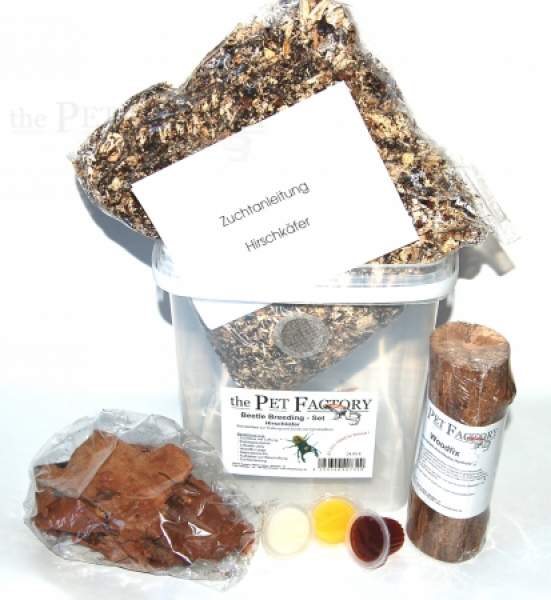 Beetle Breeding Set -Für Käfer